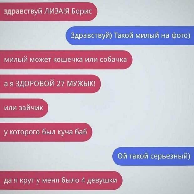 Даже не поспоришь Даже не поспоришь альфа-самец, альфач, знакомства, отношения, прикол, романтики, смешно, фото