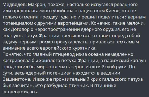 Информация о подготовке покушения на президента Франции Эмманюэля Макрона во время его планируемого, но в итоге отмененного визита в Киев стала причиной серьезного скандала.-3