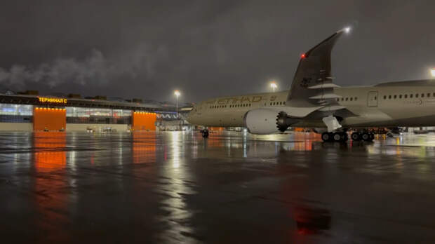 «Никогда так не хотела домой»: в Москве встретили первый рейс с туристами из ОАЭ