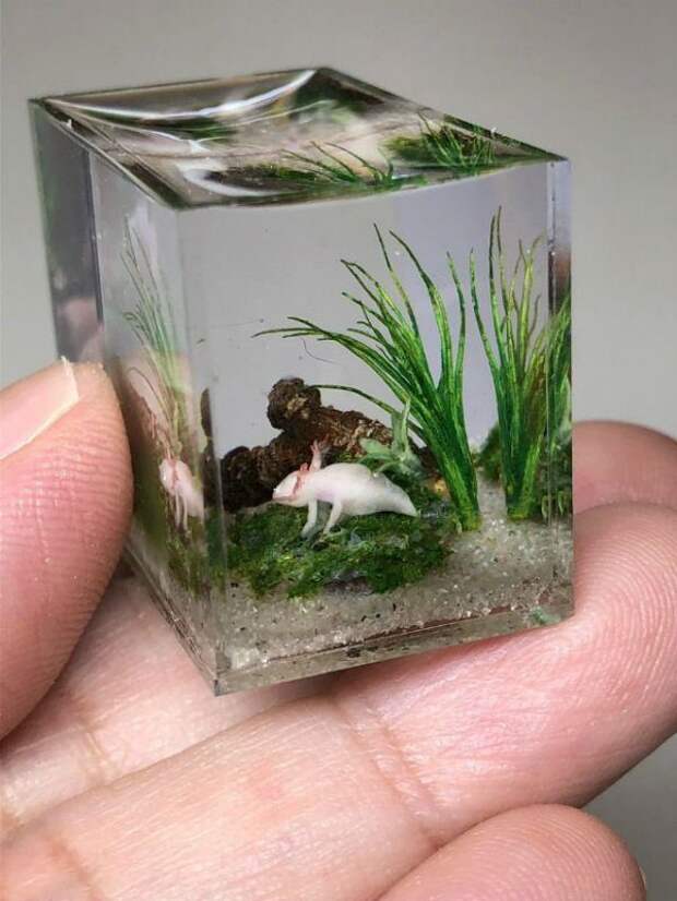 Японская художница создаёт прекрасно детализированные миниатюрные пруды и аквариумы с золотыми рыбками