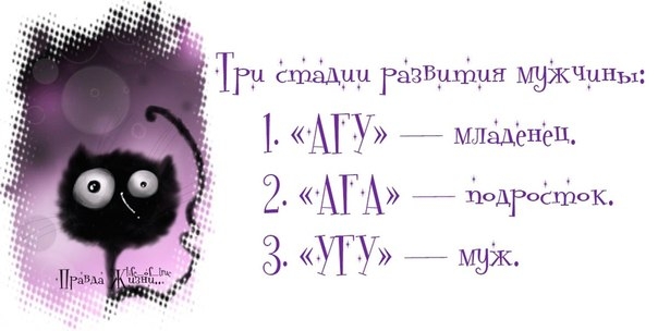 1370884638_frazochki-24 (604x304, 80Kb)