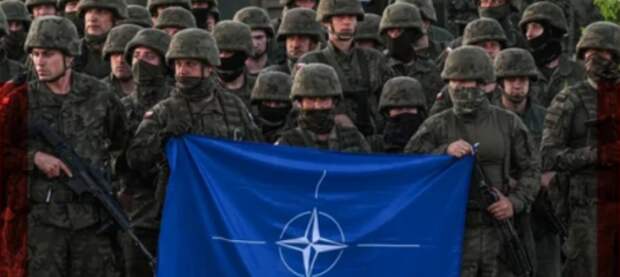 СМИ: Трамп думает уменьшить количество военных США в Европе из-за разочарования в союзниках