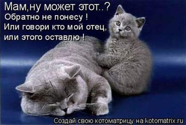 Мысли вслух :)