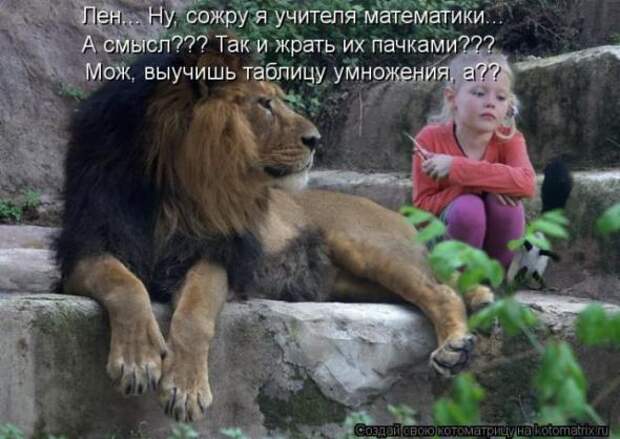 Котоматрицы(картинки с надписями)