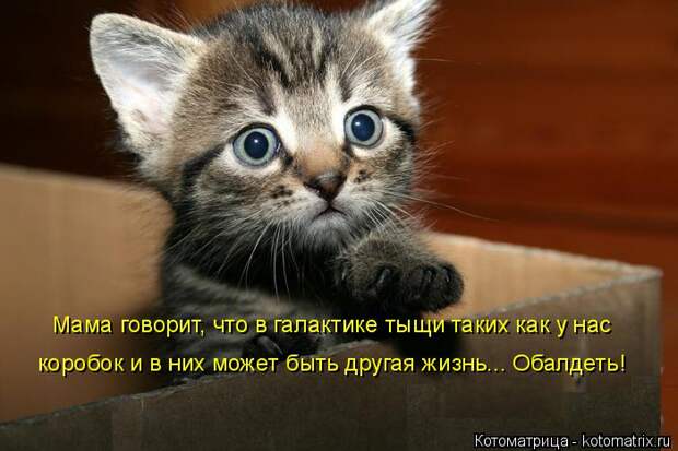 1483359656_15 (700x467, 50Kb)