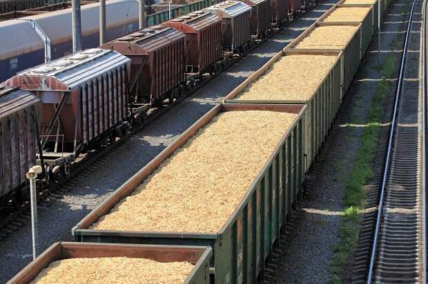 Юрий Бурлачко: субсидирование перевозок зерна железнодорожным транспортом поддержит кубанских аграриев