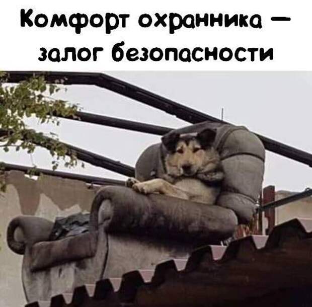 Большая подборка картинок с надписями и просто клевые фотки (38 шт)