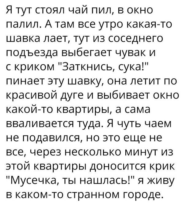 Веселые картинки с надписями до слез (11 фото) Веселые картинки с надписями до слез (11 фото)