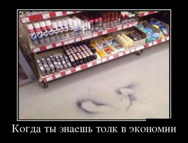 Демотиваторы (30 фото)