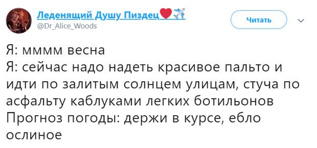 Держи в курсе ебло ослиное