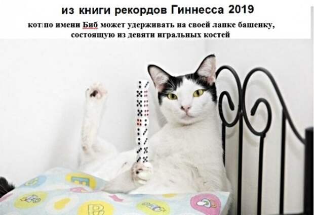 Анекдоты, истории и картинки с надписями