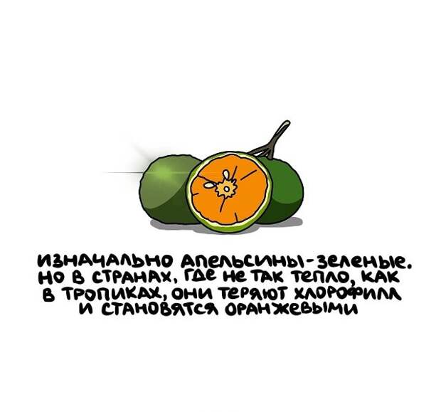 Интересные короткие факты на все случаи жизни
