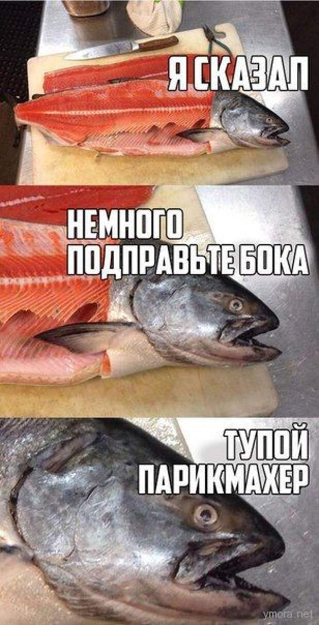 podborka_vecher_54