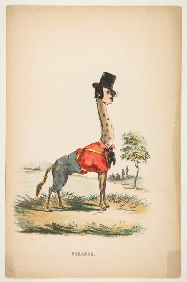 natural-history-of-the-human-race-giraffe-768x1157.jpg natural-history-of-the-human-race-giraffe-768x1157.jpg