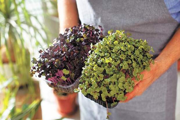 Накрываем стол, как в модном ресторане