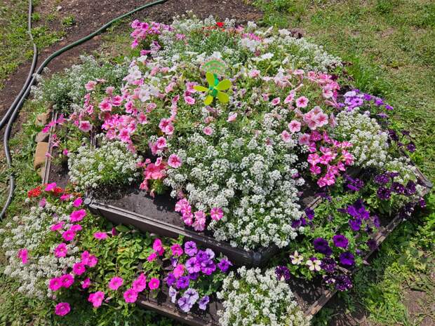 Нравится вам такое?