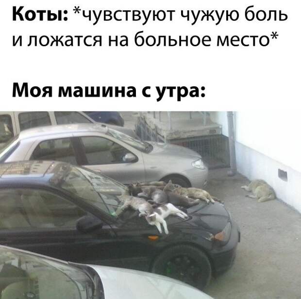 1604928140_2.jpg