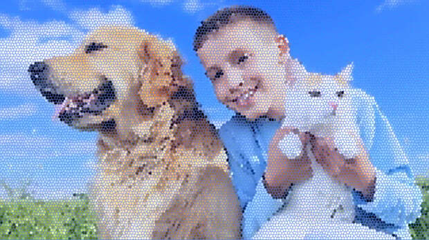 Ничего личного