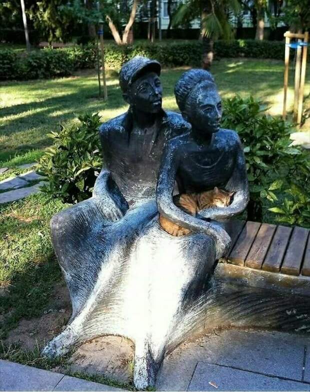 Котики, которые так и притягивают внимание к себе Котики, которые так и притягивают внимание к себе
