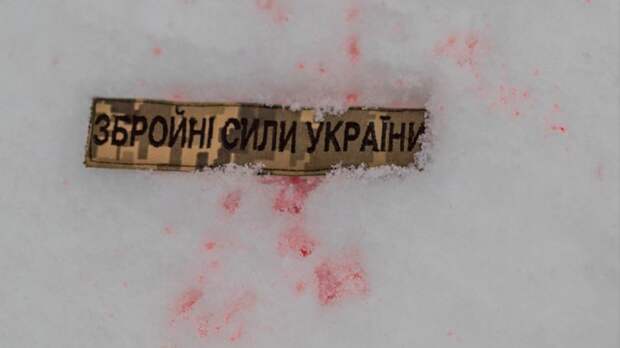 Le Monde узнала о роспуске Интернационального легиона ВСУ