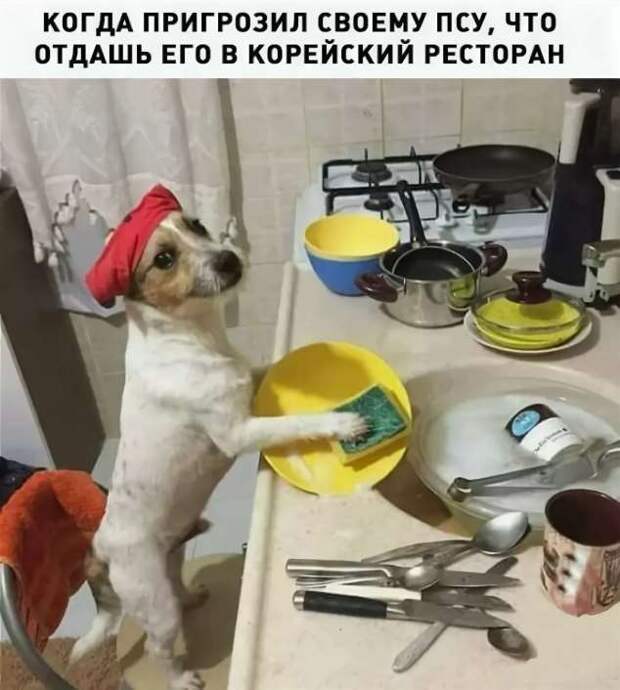 Неадекватный юмор из социальных сетей. Подборка chert-poberi-umor-chert-poberi-umor-29010919052020-5 картинка chert-poberi-umor-29010919052020-5