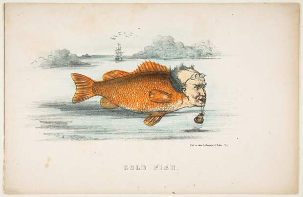 natural-history-of-the-human-race-goldfish-768x500.jpg natural-history-of-the-human-race-goldfish-768x500.jpg