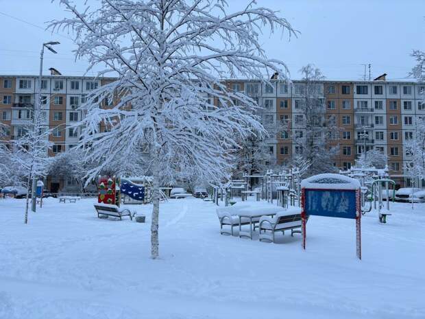 Петербургская казна получила 5 млн рублей от "весельчаков"