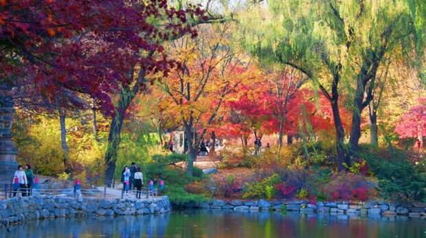 Парк в Сеуле осенью