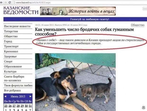 Смешные объявления, надписи, вывескм 13