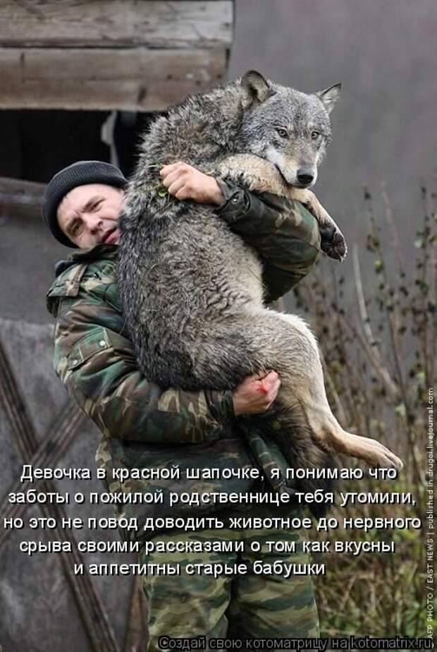 Лучшие котоматрицы недели