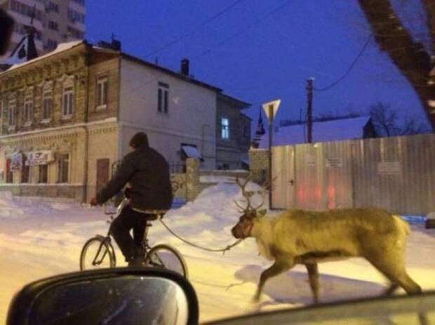 only_in_russia_34.jpg only_in_russia_34.jpg