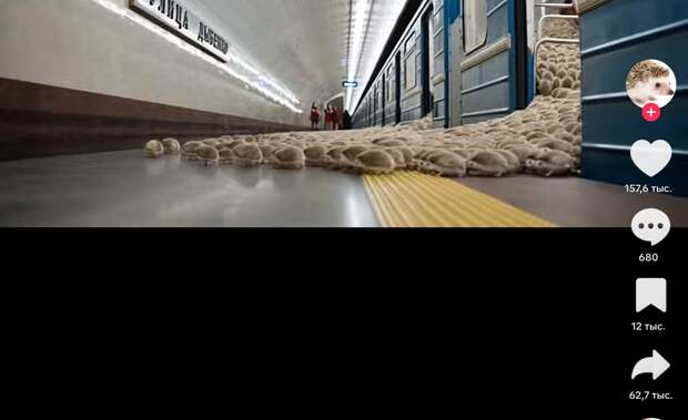 Видео с поющими ежиками в петербургском метро завирусилось в Сети