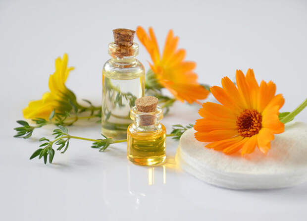 https://likeni.info/wp-content/uploads/2019/04/9.jpg