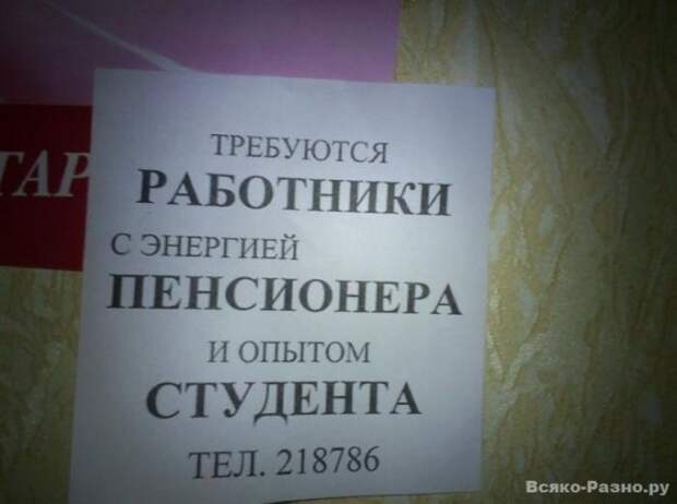 Очередная подборка смешных надписей и объявлений