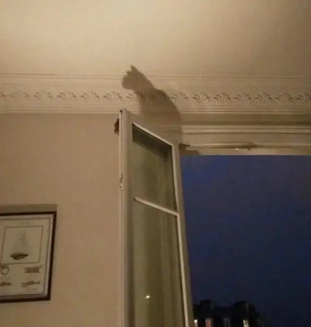 ?