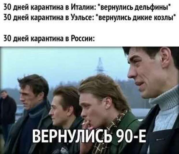 Смешные комментарии. Подборка chert-poberi-chert-poberi-51411010042020-11 картинка chert-poberi-51411010042020-11