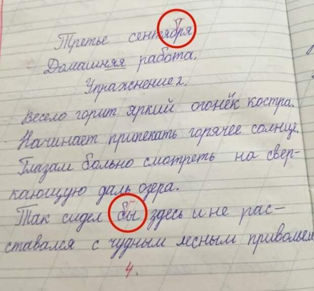 Подборка странных и забавных замечаний от учителей Подборка странных и забавных замечаний от учителей