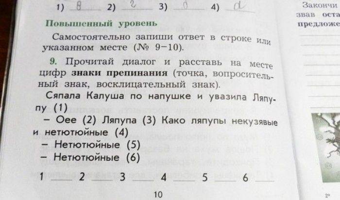 Смешные надписи (73 фото)