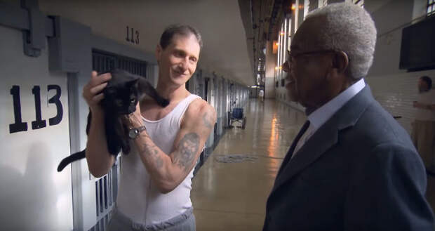 Зэки и котаны: в Штатах запустили новую программу реабилитации заключенных