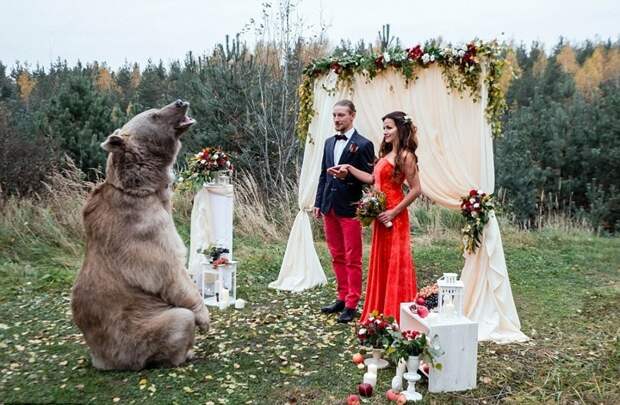 bear-stepan-betrothed-couple-from-moscow-10