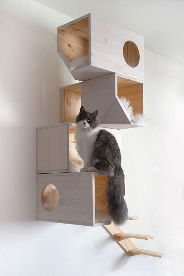 Catissa: кошкин дом