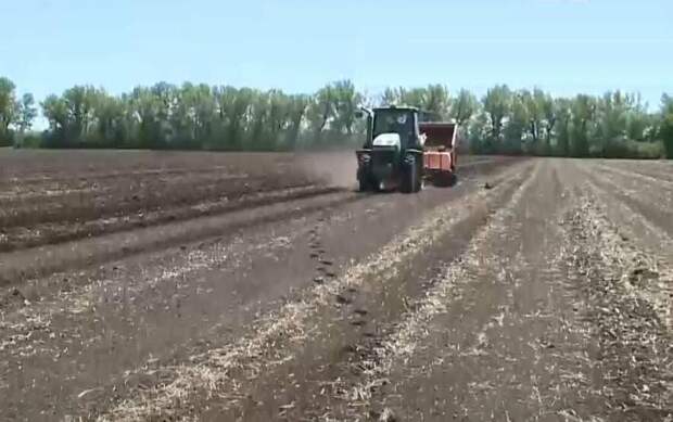Технологии повышения урожайности внедряют в Карагандинской области