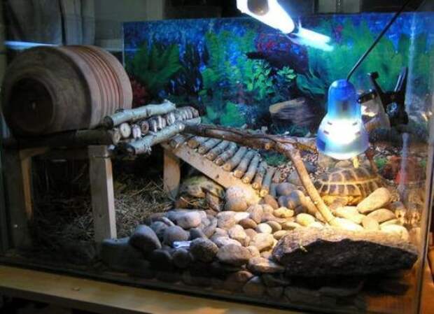 аквариум для черепахи 5