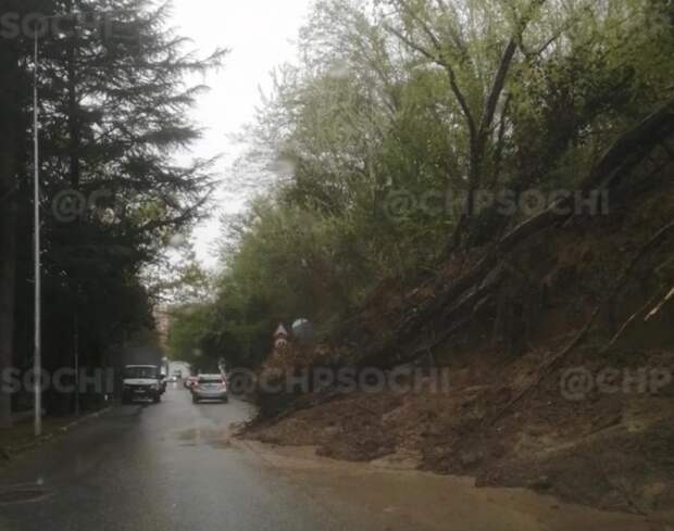 Новый оползень в Сочи заблокировал проезжую часть: деревья выкорчевало с корнями