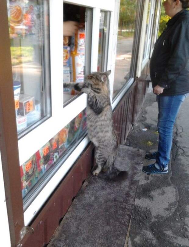 Прикольные картинки