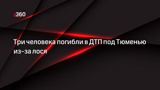 Три человека погибли в ДТП под Тюменью из-за лося