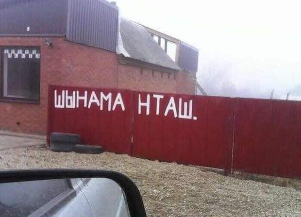 Народные перлы баян, приколы, юмор