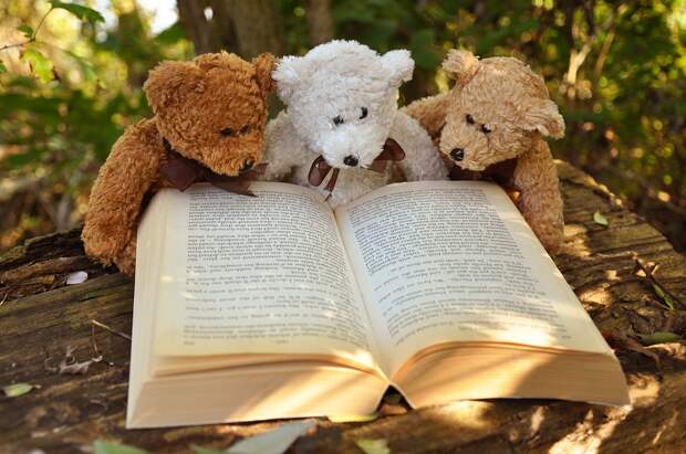 Детские книги. Фото pixabay.com