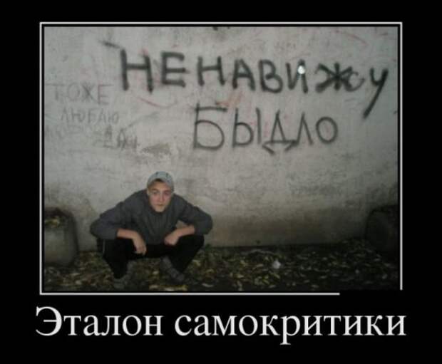 Демотиваторы 6.05.13