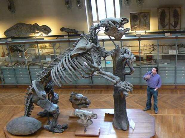 Невероятные монстры прошлого, обитавшие на Земле prehistoric16 Невероятные монстры прошлого, обитавшие на Земле
